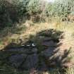 Digital photograph of panel to north, Scotland's Rock Art Project, Lurgan Farm 2-9, Perth and Kinross