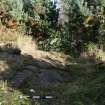 Digital photograph of panel to east, Scotland's Rock Art Project, Lurgan Farm 2-9, Perth and Kinross