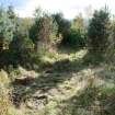 Digital photographs of rock art panel context, Scotland's Rock Art Project, Lurgan Farm 2-9, Perth and Kinross