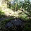 Digital photograph of panel to east, from Scotland's Rock Art Project, Lurgan Farm 15, Perth and Kinross