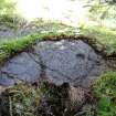 Digital photograph of panel in context with scale, from Scotland's Rock Art Project, Lurgan Farm 15, Perth and Kinross