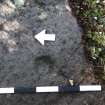 Digital photograph of close ups of motifs, from Scotland's Rock Art Project, Lurgan Farm 15, Perth and Kinross