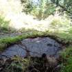 Digital photograph of panel in context without scale, from Scotland's Rock Art Project, Lurgan Farm 15, Perth and Kinross