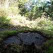 Digital photograph of rock art panel context, Scotland's Rock Art Project, Lurgan Farm 15, Perth and Kinross