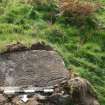 Digital photograph of rock art panel context, Scotland's Rock Art Project, Braes of Balloch 1, Tombuie, Perth and Kinross
