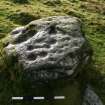 Digital photograph of panel, from Scotland's Rock Art Project, Ballochraggan 9, Stirling