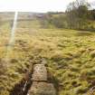 Digital photograph of panorama, from Scotland's Rock Art Project, Blarnaboard 1, Stirling