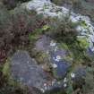 Digital photograph of panel before cleaning, from Scotland's Rock Art Project, Castleton 7, Stirling