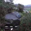 Digital photograph of panel to south, from Scotland's Rock Art Project, Castleton 7, Stirling