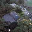 Digital photograph of panel to south, from Scotland's Rock Art Project, Castleton 7, Stirling