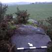 Digital photograph of panel to south-west, from Scotland's Rock Art Project, Castleton 7, Stirling