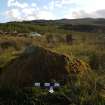 Digital photograph of panel to south, from Scotland's Rock Art Project, Mid Lix, Stirling