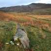 Digital photograph of panel to east, from Scotland's Rock Art Project, Nether Glenny 11, Stirling