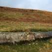 Digital photograph of panel to north, from Scotland's Rock Art Project, Nether Glenny 11, Stirling