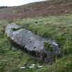 Digital photograph of panel to west, from Scotland's Rock Art Project, Nether Glenny 11, Stirling