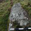 Digital photograph of panel, from Scotland's Rock Art Project, Nether Glenny 11, Stirling