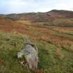 Digital photograph of panel in context without scale, from Scotland's Rock Art Project, Nether Glenny 11, Stirling