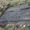 Digital photograph of perpendicular to carved surface(s), from Scotland's Rock Art Project, Nether Glenny 21, Stirling