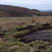 Digital photograph of panorama, from Scotland's Rock Art Project, Nether Glenny 21, Stirling