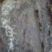 Digital photograph of perpendicular to carved surface(s), from Scotland's Rock Art Project, Nether Glenny 22, Stirling