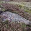 Digital photograph of panel to east, from Scotland's Rock Art Project, Nether Glenny 23, Stirling