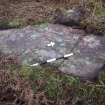 Digital photograph of panel to west, from Scotland's Rock Art Project, Nether Glenny 23, Stirling