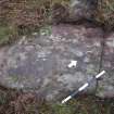 Digital photograph of perpendicular to carved surface(s), from Scotland's Rock Art Project, Nether Glenny 23, Stirling