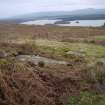 Digital photograph of panel in context with scale, from Scotland's Rock Art Project, Nether Glenny 23, Stirling