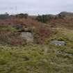 Digital photograph of panel in context with scale, from Scotland's Rock Art Project, Nether Glenny 23, Stirling