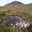 Digital photograph of rock art panel context, Scotland's Rock Art Project, Nether Glenny 28, Stirling