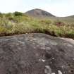 Digital photograph of rock art panel context, Scotland's Rock Art Project, Nether Glenny 28, Stirling