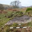 Digital photograph of rock art panel context, Scotland's Rock Art Project, Nether Glenny 28, Stirling