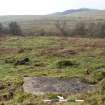 Digital photograph of rock art panel context, Scotland's Rock Art Project, Nether Glenny 28, Stirling