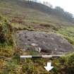 Digital photograph of rock art panel context, Scotland's Rock Art Project, Nether Glenny 28, Stirling