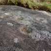 Digital photograph of rock art panel context, Scotland's Rock Art Project, Nether Glenny 28, Stirling