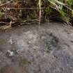 Digital photograph of rock art panel context, Scotland's Rock Art Project, Nether Glenny 28, Stirling