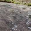 Digital photograph of rock art panel context, Scotland's Rock Art Project, Nether Glenny 28, Stirling