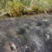 Digital photograph of rock art panel context, Scotland's Rock Art Project, Nether Glenny 28, Stirling