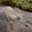 Digital photograph of rock art panel context, Scotland's Rock Art Project, Nether Glenny 28, Stirling