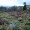 Digital photograph of panel in context without scale, from Scotland's Rock Art Project, Nether Glenny 28, Stirling