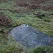 Digital photograph of panel, from Scotland's Rock Art Project, Nether Glenny 28, Stirling