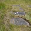 Digital photograph of panel to east, from Scotland's Rock Art Project, Over Glenny 2, Stirling