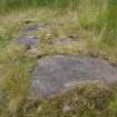 Digital photograph of panel to west, from Scotland's Rock Art Project, Over Glenny 2, Stirling