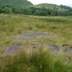 Digital photograph of panel in context with scale, from Scotland's Rock Art Project, Over Glenny 2, Stirling