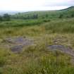 Digital photograph of panel in context with scale, from Scotland's Rock Art Project, Over Glenny 2, Stirling