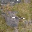 Digital photograph of perpendicular to carved surface(s), from Scotland's Rock Art Project, Over Glenny 2, Stirling