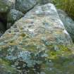 Digital photograph of rock art panel context, Scotland's Rock Art Project, Crosswood 3, West Lothian