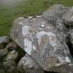 Digital photograph of panel to north, from Scotland's Rock Art Project, Crosswood 3, West Lothian