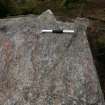 Digital photograph of rock art panel context, Scotland's Rock Art Project, Ben Langass, North Uist, Western Isles