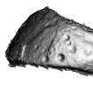 Snapshot of 3D model, from Scotland's Rock Art Project, Buaile Risary, North Uist, Western Isles